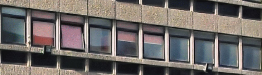 Image of Eye Pavilion windows